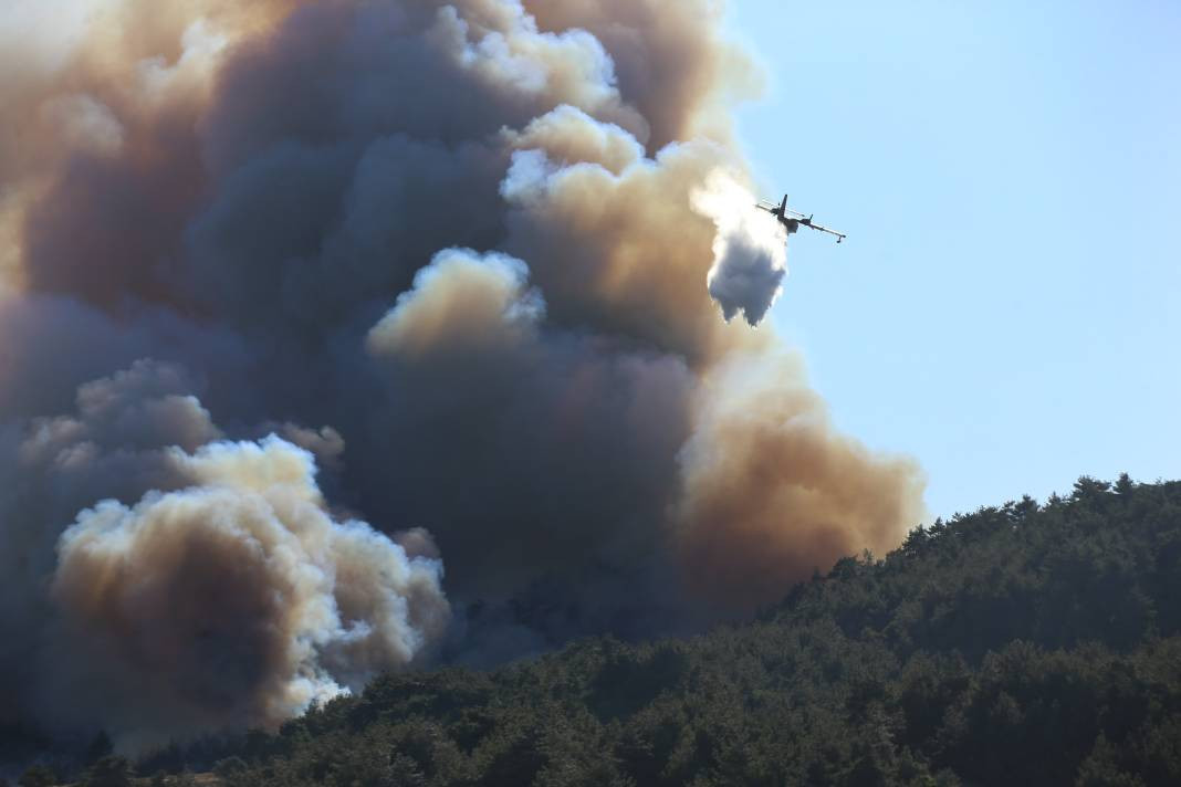 Çanakkale'deki Tarihi Alan'ın güney hattı ziyarete açıldı! Orman yangınında kapatılmıştı - Resim: 65